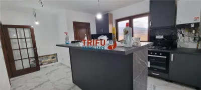 Casa noua de vanzare 4 camere in comuna Ighiu - foto 8