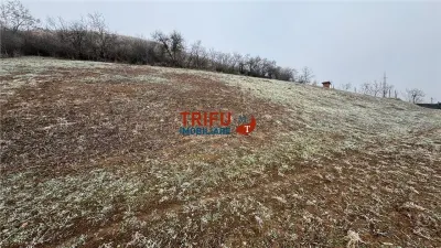 Teren  2000 mp de vanzare in Sard - Sard