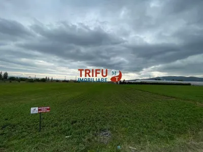 Teren extravilan de vânzare în Bărăbanț - foto 2