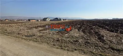 Teren de vanzare 2097mp strada Nazaret Ilit - foto 2
