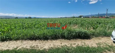 Teren de vanzare langa soseaua de centura, 5100 mp - Alba Iulia