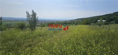 Teren de vanzare in Micesti cu suprafata generoasa - Alba Iulia
