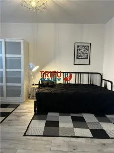 Apartament de inchiriat la vila - foto 11