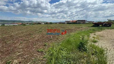 Teren Intravilan construibil de 2740 mp în Micești, Alba Iulia - Alba Iulia