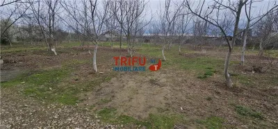 Teren industrial de vanzare in Ampoi - foto 1
