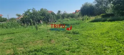 Casă de vânzare cu 3000mp teren în Micești - foto 7