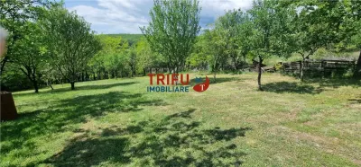 Teren intravilan de vanzare zona Schit - foto 1