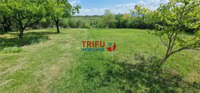 Teren intravilan de vanzare zona Schit - foto 11