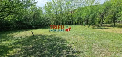 Teren intravilan de vanzare zona Schit - foto 5