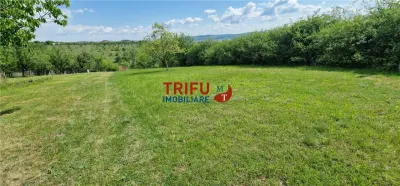 Teren intravilan de vanzare zona Schit - foto 9