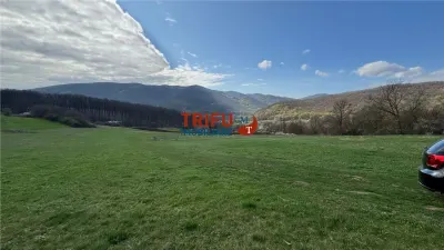 Teren de vanzare pentru cabana langa padure in Ampoita - foto 4