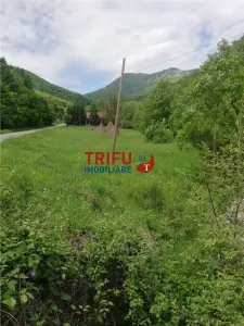 Teren  de vanzare  zona Galda - foto 5