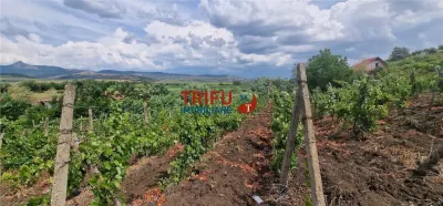 Teren extravilan 1400 mp de vânzare în Șard – deschidere la două străzi - foto 2