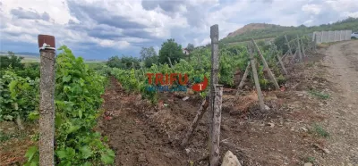 Teren extravilan 1400 mp de vânzare în Șard – deschidere la două străzi - foto 5