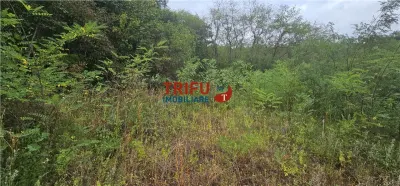 Teren de vanzare langa padure cu panorama asupra orasului - foto 5