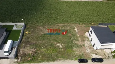 Teren Construibil in Zona Alba Micesti spre Padure - foto 4