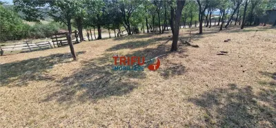 Teren de vanzare zona Paclisa - foto 11