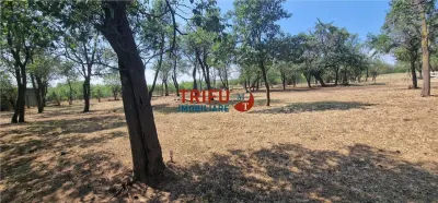 Teren de vanzare zona Paclisa - foto 4