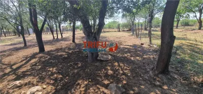 Teren de vanzare zona Paclisa - foto 5