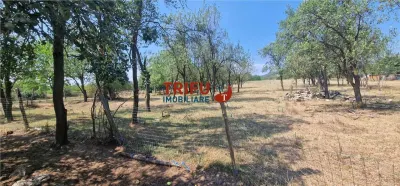 Teren de vanzare zona Paclisa - foto 8