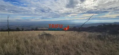 Teren extravilan în zona Pâclișa - foto 1