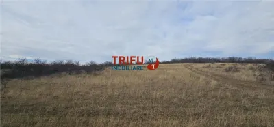 Teren extravilan în zona Pâclișa - foto 2