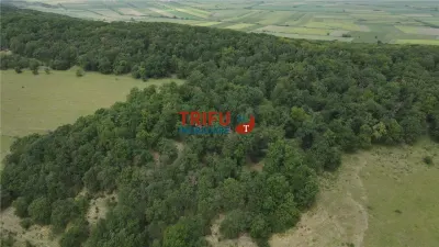 Teren cu priveliște și pădure pentru cabane de vânzare în suprafață de 5 ha - foto 7