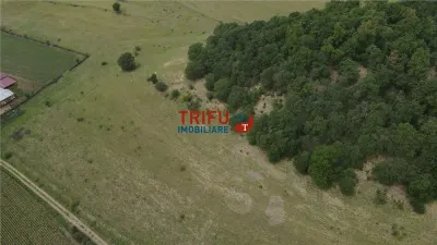 Teren cu priveliște și pădure pentru cabane de vânzare în suprafață de 5 ha - foto 8