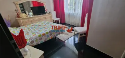 Casa spatioasa de vanzare in Alba Iulia - foto 12