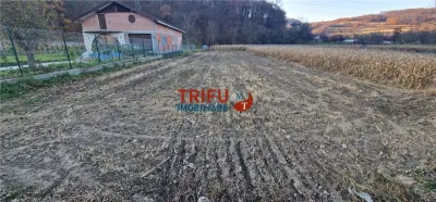 Teren Intravilan în Ampoița 1000mp - foto 2