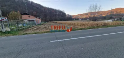 Teren Intravilan în Ampoița 1000mp - foto 7