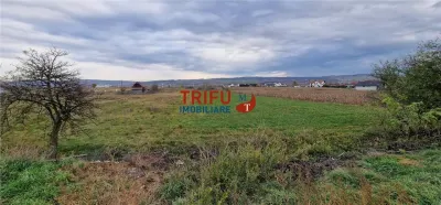 Teren 2160mp în  Partoș - Alba Iulia