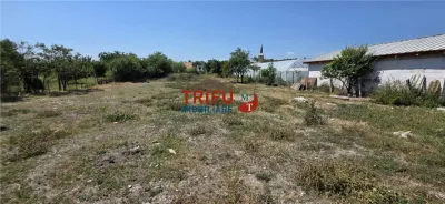 Casă individuală cu teren de 2398 mp în Cricău - foto 5