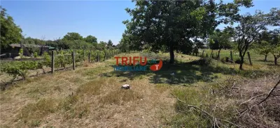 Casă individuală cu teren de 2398 mp în Cricău - foto 7