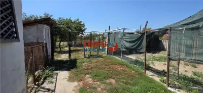 Casă individuală cu teren de 2398 mp în Cricău - foto 8