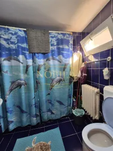 Casa de vanzare cu gradina si curte in Orasul din Inima Sarii Targu Ocna - foto 25