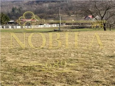 Teren de vanzare pentru constructii Slanic Moldova - foto 3