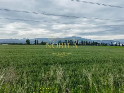 TEREN  de vanzare GHIMBAV   7 ha - BRASOV - Ghimbav