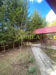 VILA  10 camere P + 1 si TEREN in ZONA HALOS - LOCUINTA/BUSSINES IN MANASTIREA CASIN DE VANZARE IN EXCLUSIVITATE - foto 6