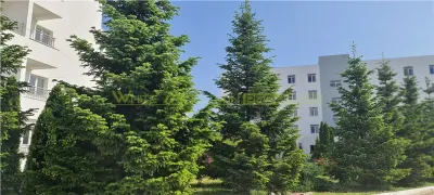 NOU! Apartament 2 camere, de vanzare,  Buftea - foto 6