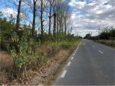 Teren 34500 mp de vanzare, com Teiu, jud Arges - foto 2