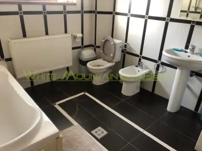 Vila cu caracter, interbelica, 9 camere, de vanzare - foto 15