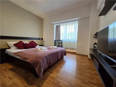 Apartament spatios cu 2 camere Parcul Trandafirilor Racadau - foto 19