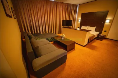 Timisoara, OPORTUNITATE INVESTITIE, hotel, clinica sau azil, 41 camere - foto 6