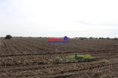 Teren de vanzare Balotesti -16.300mp-Stradal -Residentiale sau Comercial-cu toate utilitatile la strada - foto 2