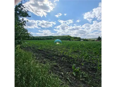 Teren intravilan de vanzare ideal pentru investitie - Ciumafaia