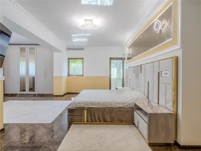 PIPERA - EROU IANCU NICOLAE,VILA ,9 CAMERE,504 MP MP,TEREN 800 MP,PISCINA - foto 12