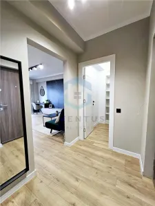 Apartament 2 camere cu gradina - foto 8