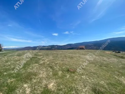 Teren intravilan 3000 mp cu utilitati de vanzare in Paltinis judet Sibiu - foto 5