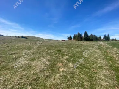 Teren intravilan 3000 mp cu utilitati de vanzare in Paltinis judet Sibiu - foto 10